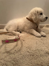 Dog Leash Pink and Rawhide