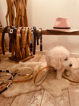 Dog Leash Pink and Rawhide