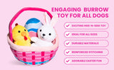 Easter Basket Dog Toy