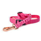 3-in-1 City Dog Leash - Park Ave Pink