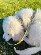 Dog Leash Turquoise and Rawhide