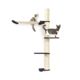 The Crow's Nest - A Wall Cat Scratcher with Hammock by Catastrophic Creations