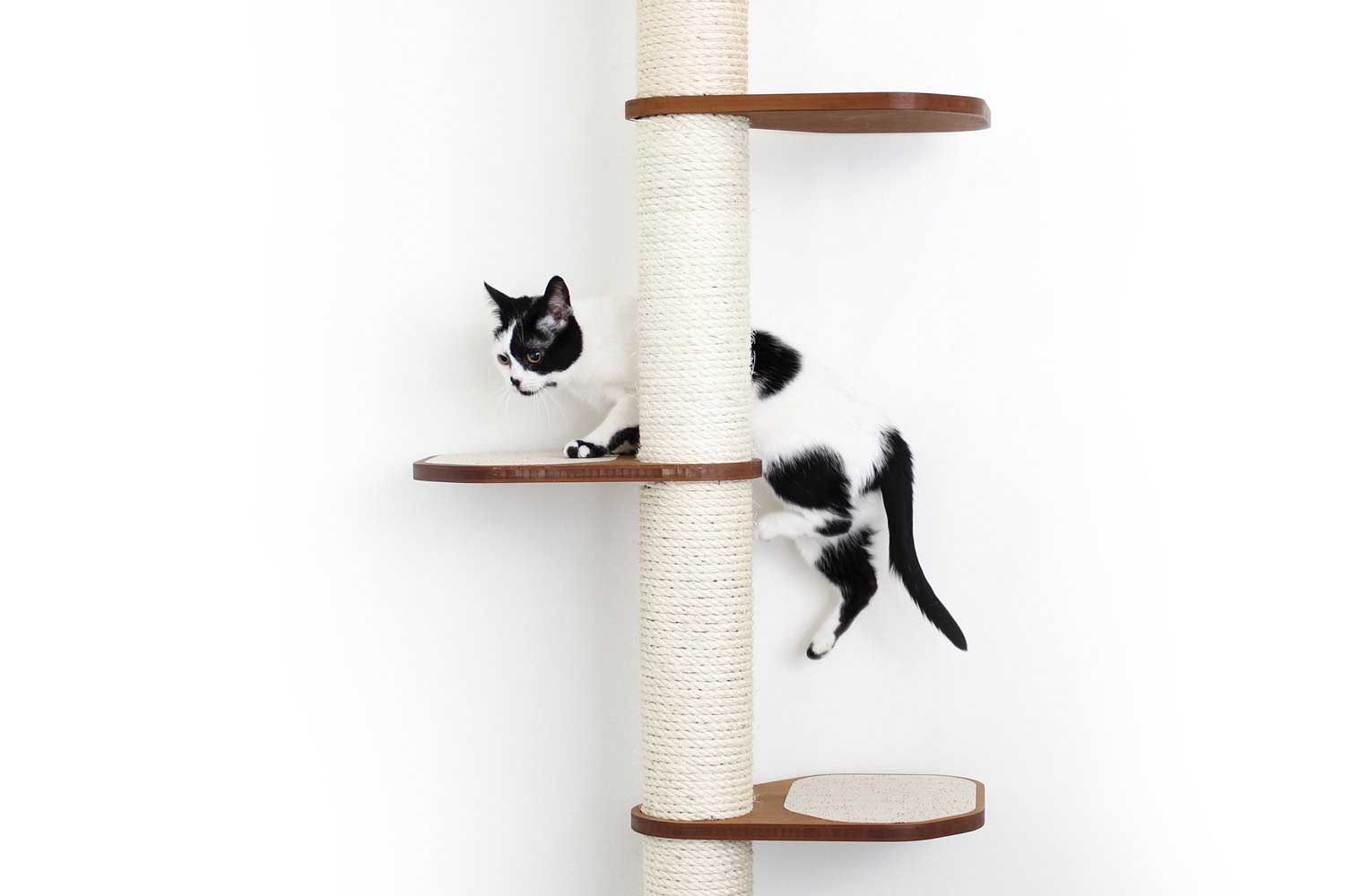 The Crow's Nest - A Wall Cat Scratcher with Hammock by Catastrophic Creations