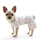 Dogo PJ Piggy