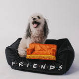 Dog Toy Squeaker Plush - Friends Central Perk Couch