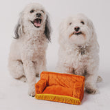 Dog Toy Squeaker Plush - Friends Central Perk Couch