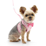 EasyGO Cherish Heart