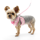 EasyGO Cherish Heart