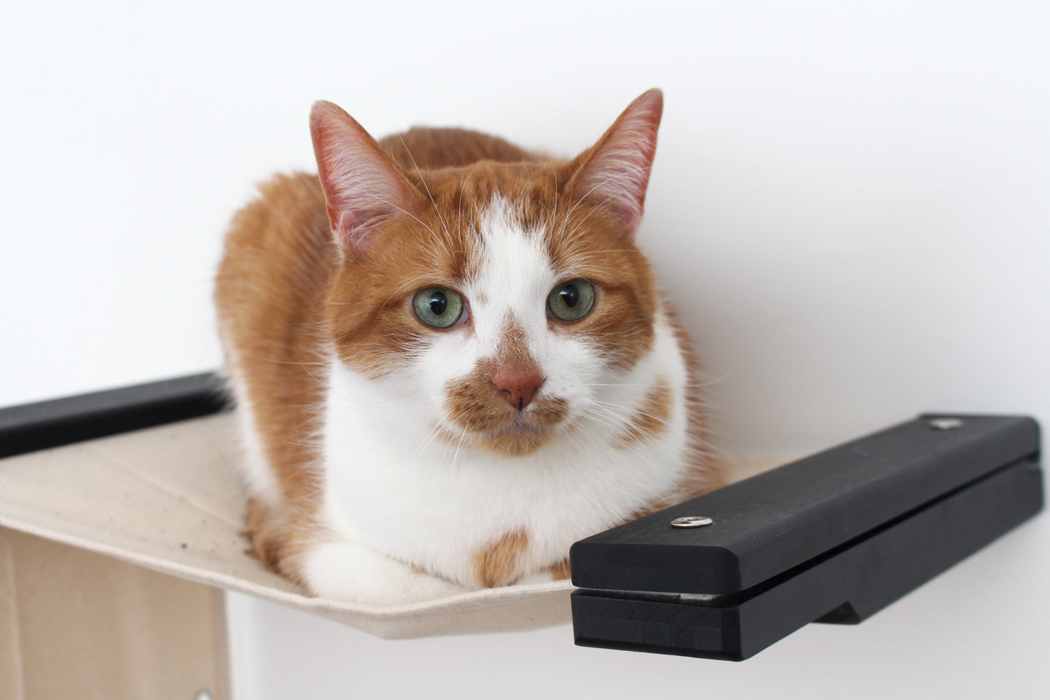 The Play - A Cat Play Wall System by Catastrophic Creations