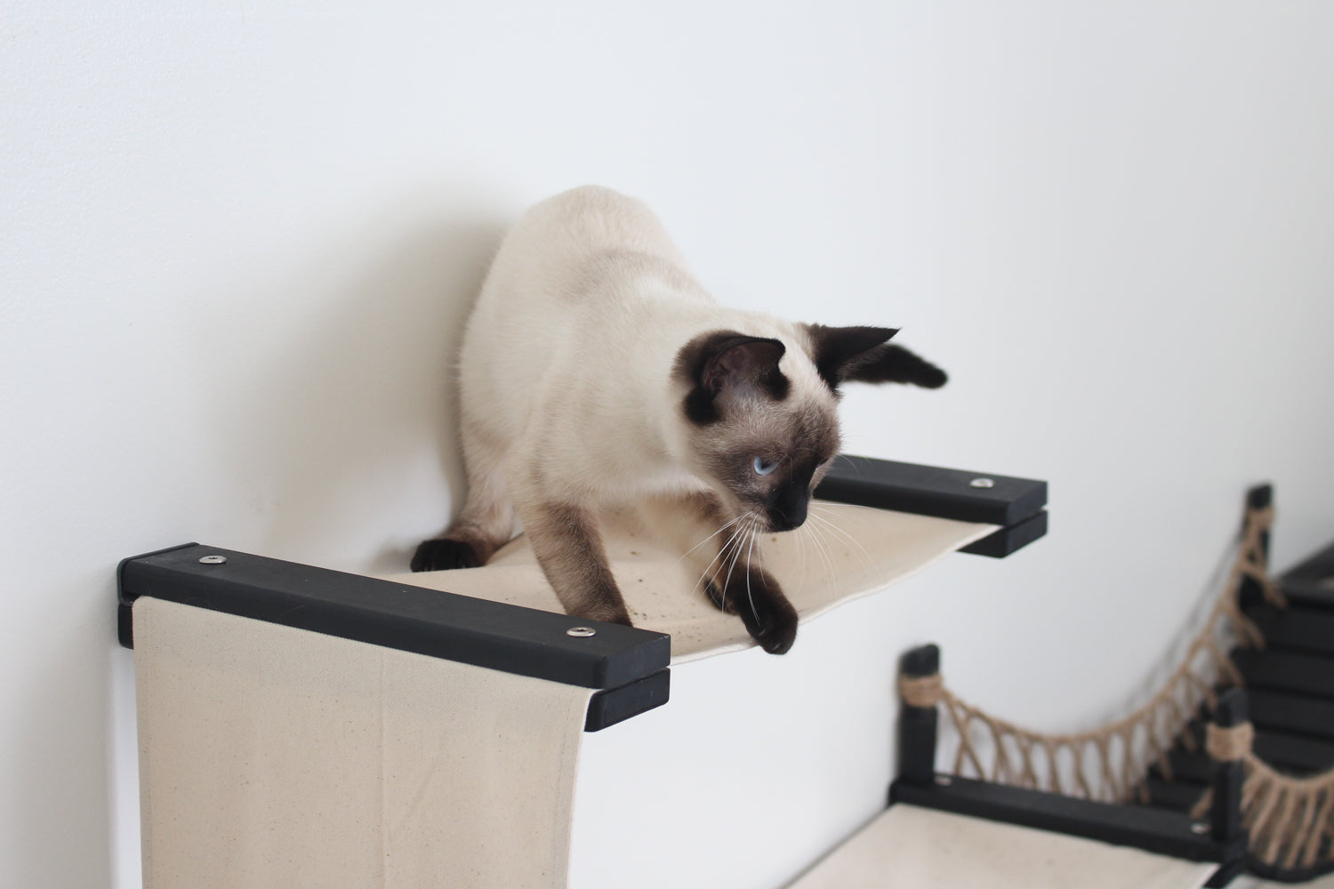 The Canyon - Our Best Cat Tree for Multiple Cats by Catastrophic Creations