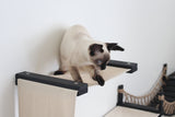 The Canyon - Our Best Cat Tree for Multiple Cats by Catastrophic Creations