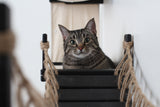 The Canyon - Our Best Cat Tree for Multiple Cats by Catastrophic Creations
