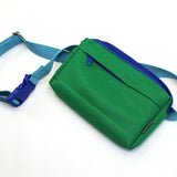 dog walking fanny pack