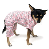 Dogo PJ Bunny