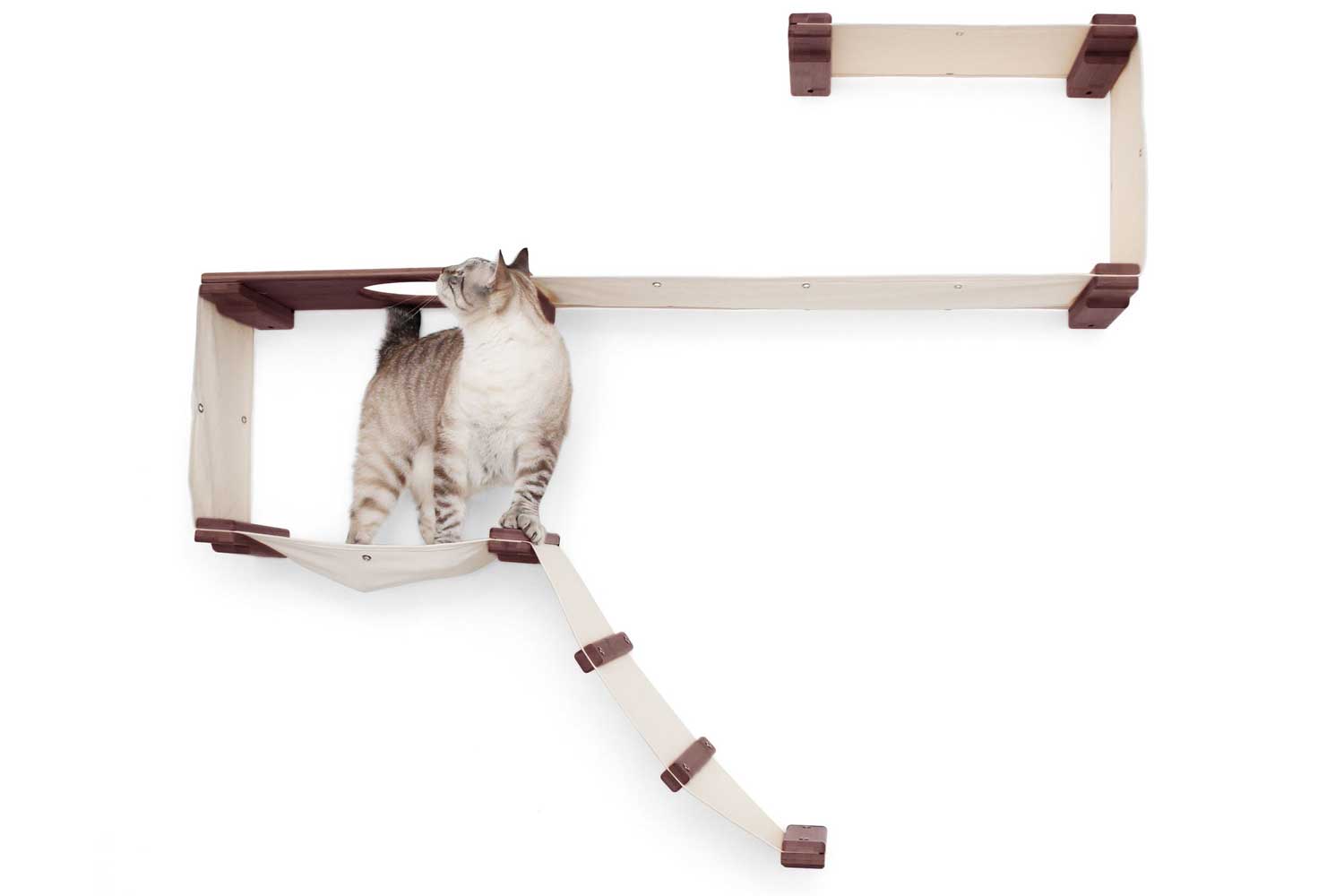 The Play - A Cat Play Wall System by Catastrophic Creations