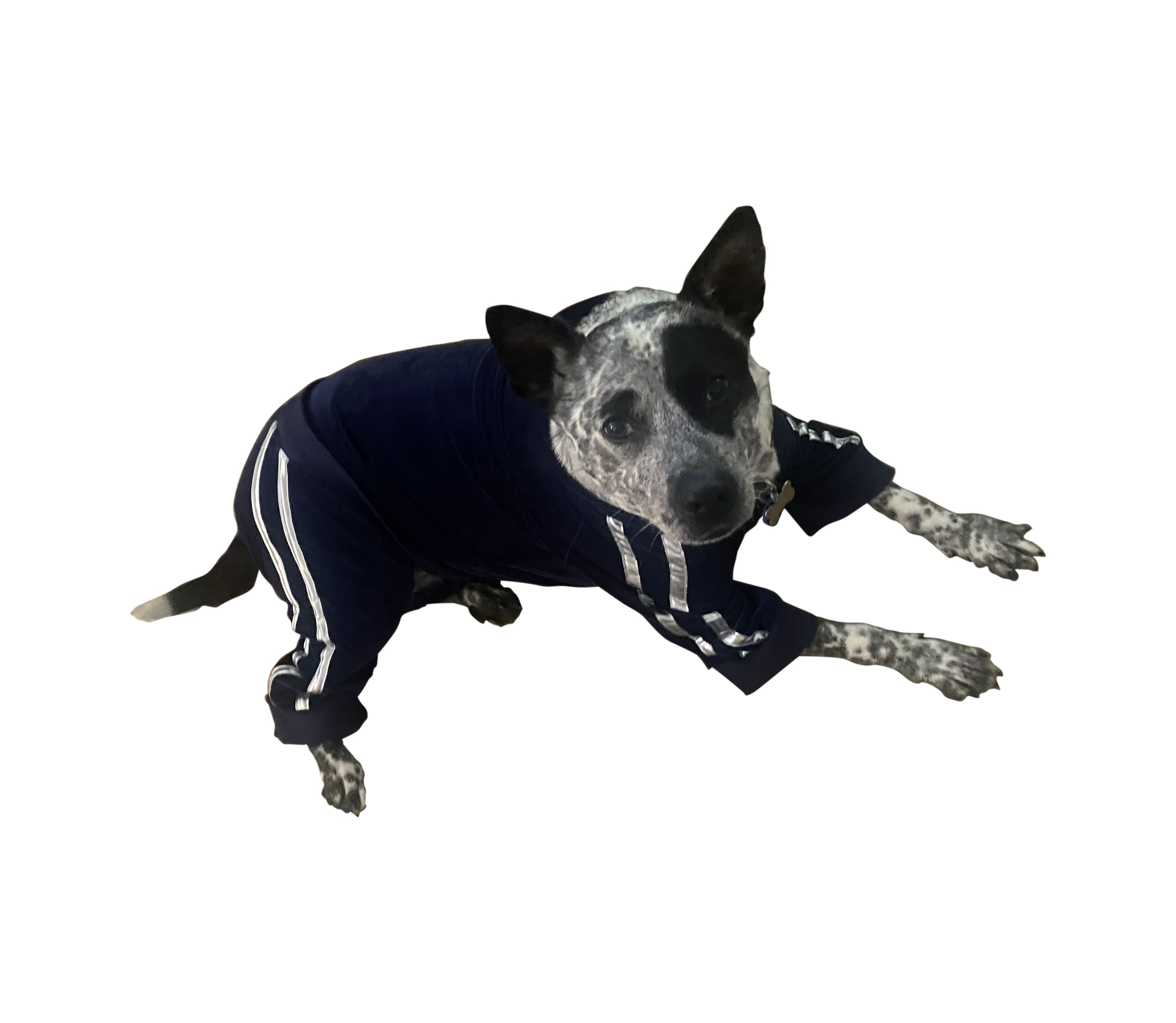 Run Run Run Tracksuit, Navy Blue