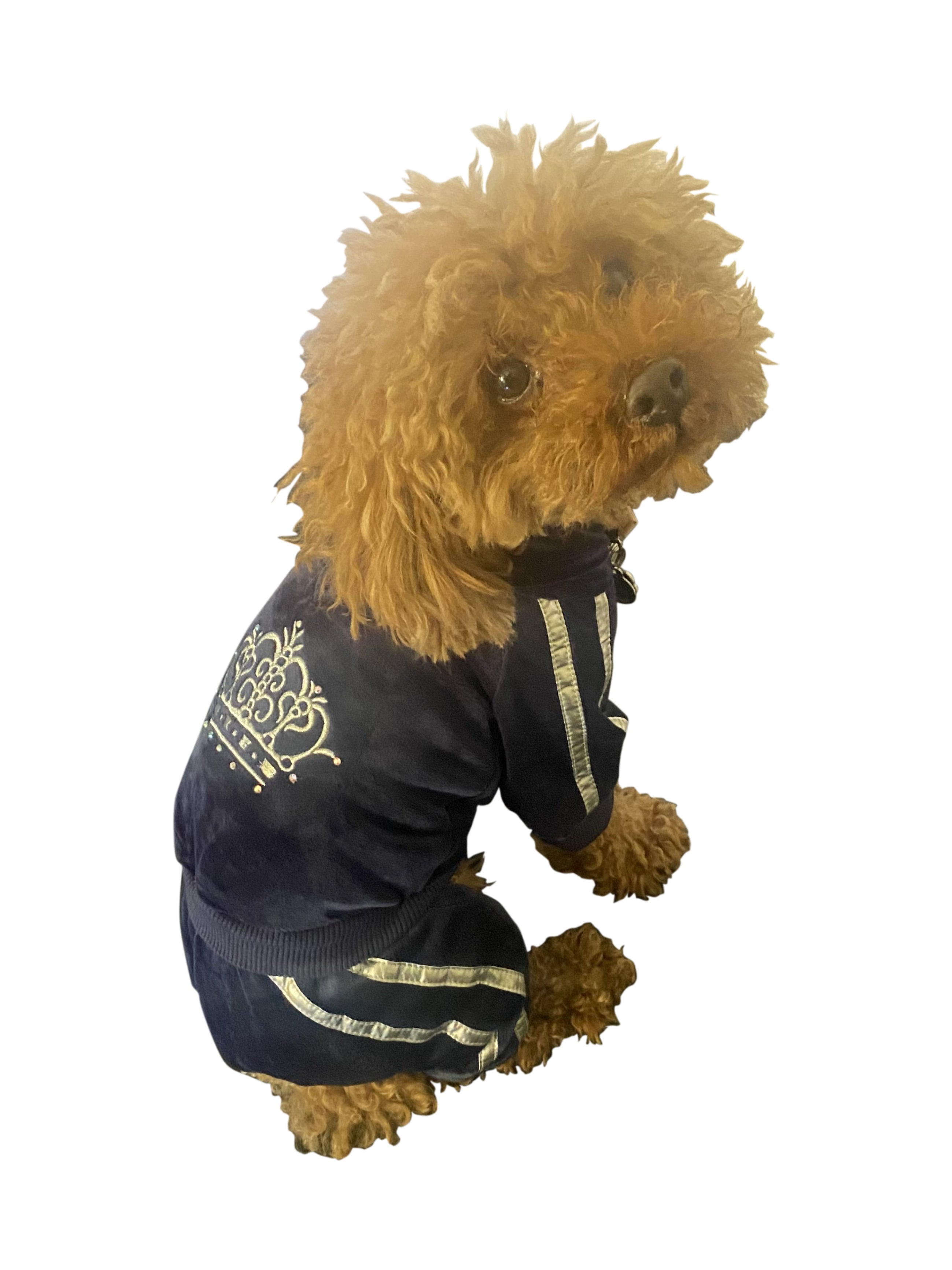 Run Run Run Tracksuit, Navy Blue