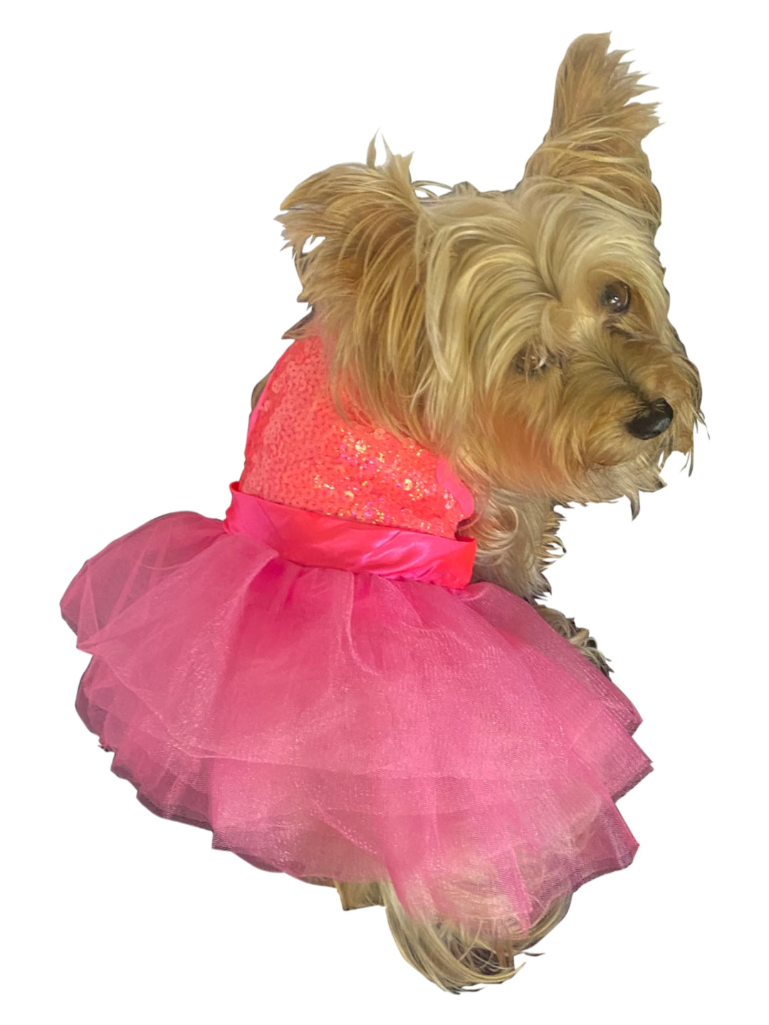 Palm Beach Neon Coral Sequin Tutu