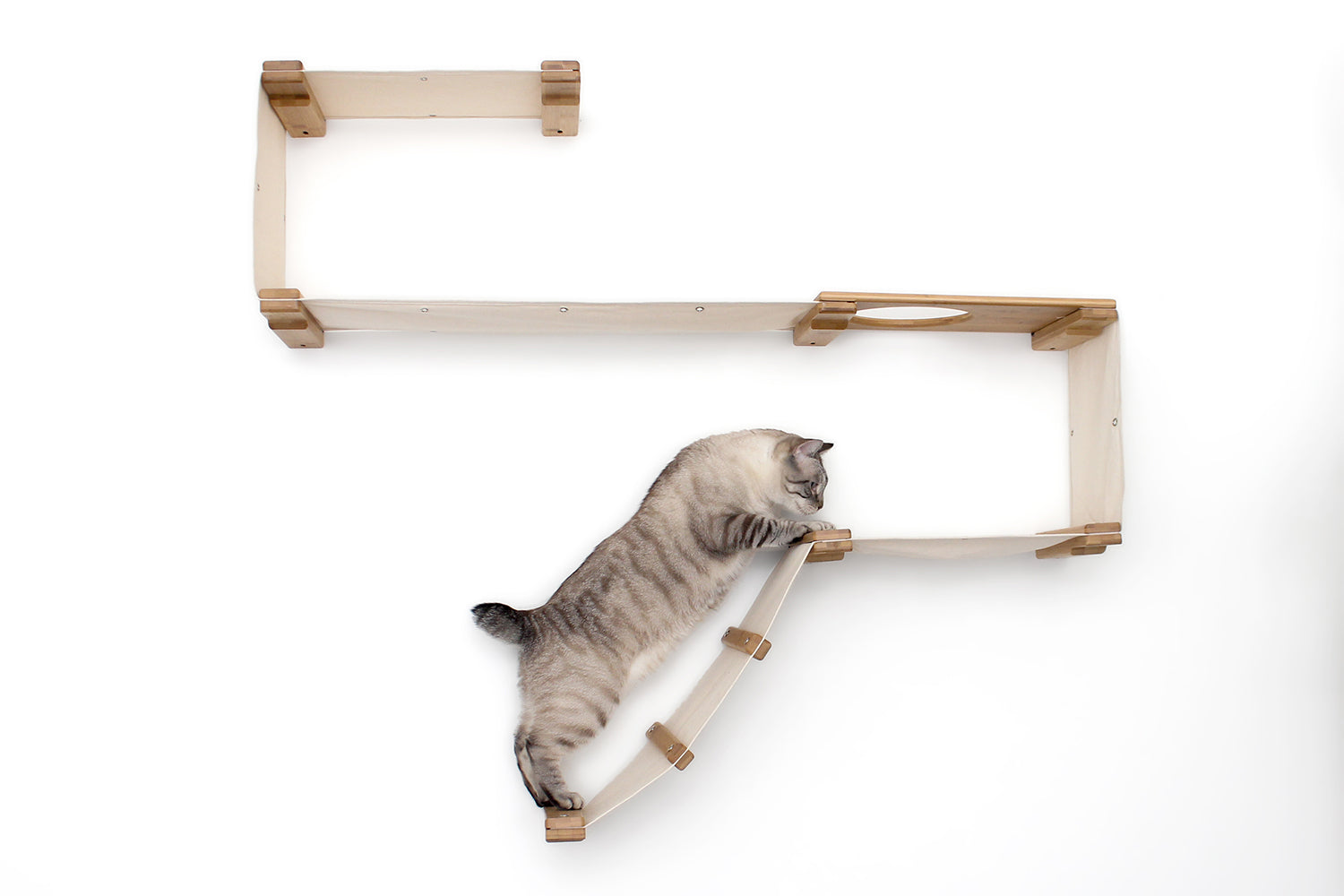 The Play - A Cat Play Wall System by Catastrophic Creations