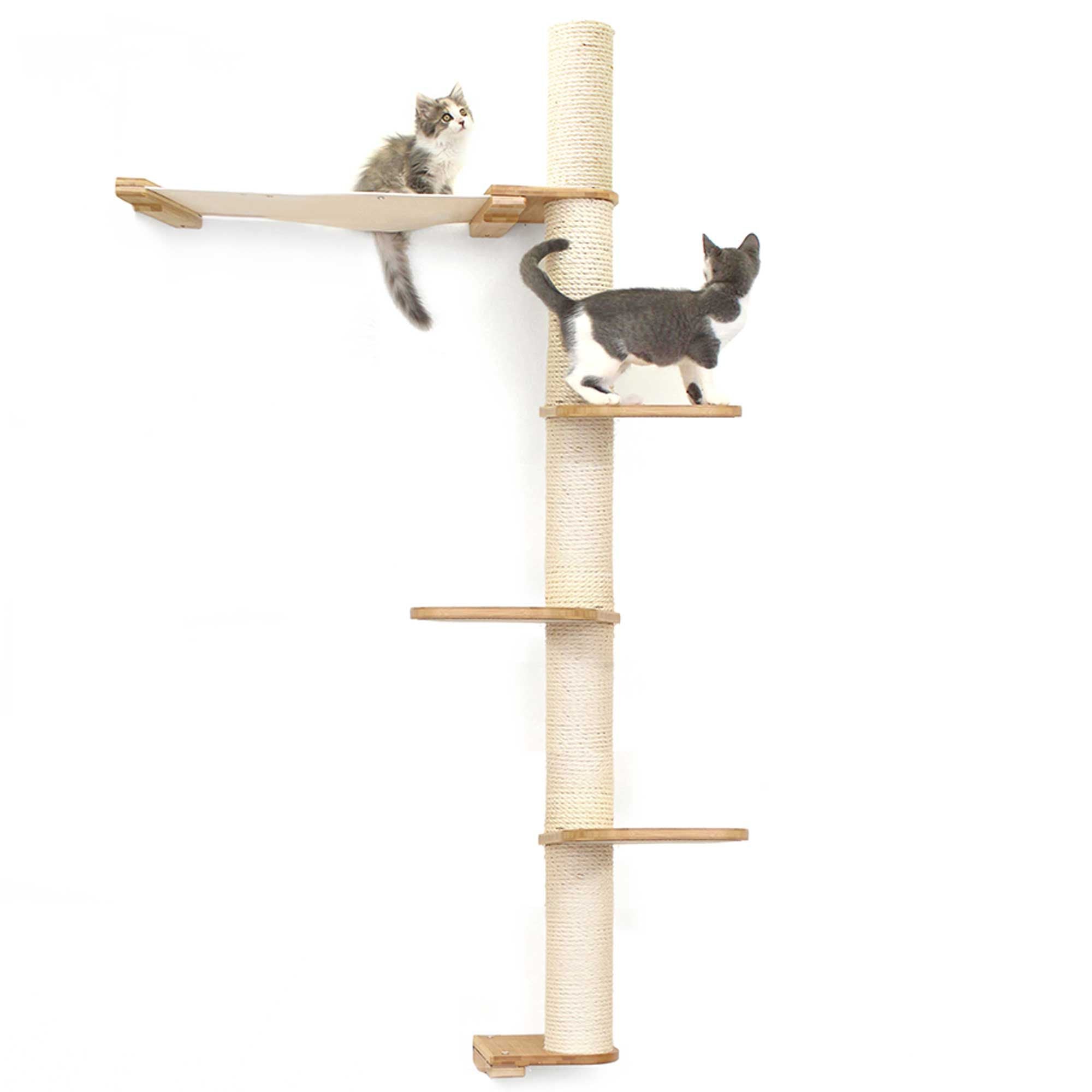 The Crow's Nest - A Wall Cat Scratcher with Hammock by Catastrophic Creations