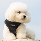 Mr. Peanut's PupTrek Harness and Leash Set, Small Dog/Cat Soft Mesh Step In Harness Vest