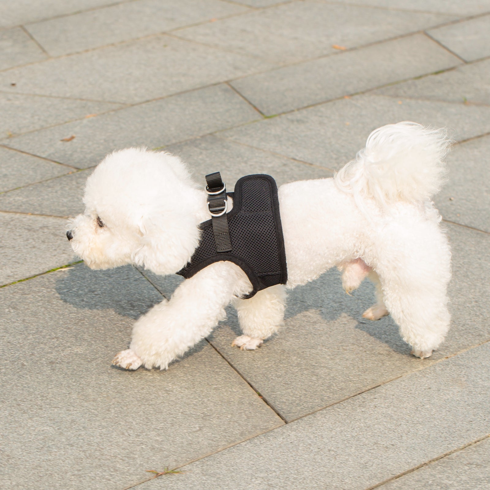 Mr. Peanut's PupTrek Harness and Leash Set, Small Dog/Cat Soft Mesh Step In Harness Vest