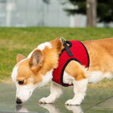 Mr. Peanut's PupTrek Harness and Leash Set, Small Dog/Cat Soft Mesh Step In Harness Vest