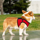 Mr. Peanut's PupTrek Harness and Leash Set, Small Dog/Cat Soft Mesh Step In Harness Vest