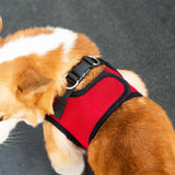 Mr. Peanut's PupTrek Harness and Leash Set, Small Dog/Cat Soft Mesh Step In Harness Vest