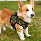Mr. Peanut's PupTrek Harness and Leash Set, Small Dog/Cat Soft Mesh Step In Harness Vest