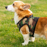 Mr. Peanut's PupTrek Harness and Leash Set, Small Dog/Cat Soft Mesh Step In Harness Vest