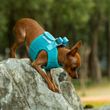 Mr. Peanut's PupTrek Harness and Leash Set, Small Dog/Cat Soft Mesh Step In Harness Vest