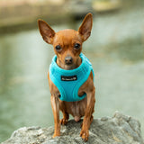Mr. Peanut's PupTrek Harness and Leash Set, Small Dog/Cat Soft Mesh Step In Harness Vest