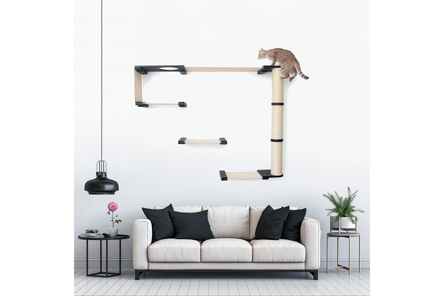 The Climb Condo - Cat Wall Climbing System by Catastrophic Creations