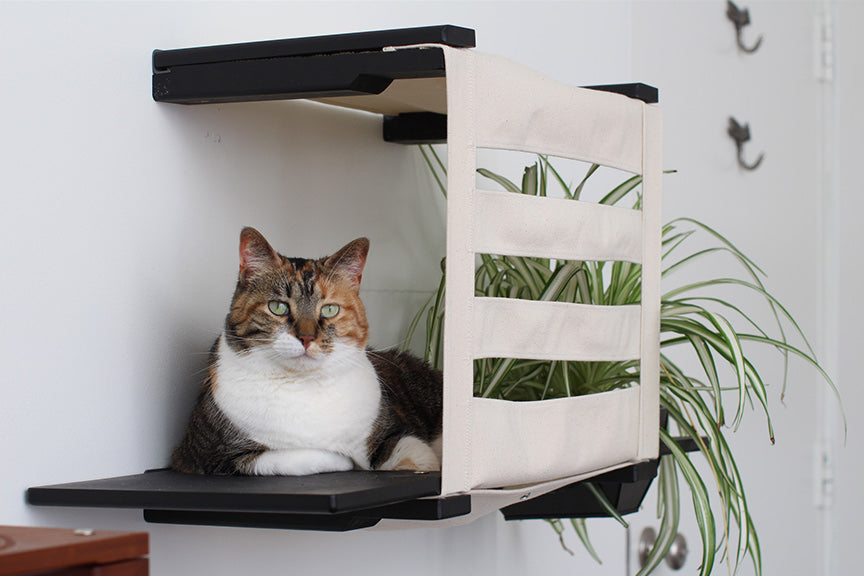 Deluxe Cat Cubby Bed by Catastrophic Creations