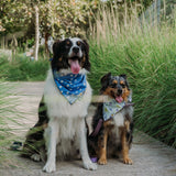 Bluey Boos Dog Bandana