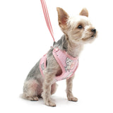 EasyGO Pineapple Stripe