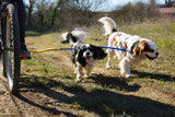 Bike Tow Leash Double Dog Package