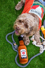 Squeaky Pawty Pups Bourbon Whiskey Plush Dog Toy