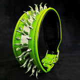 ''Predator'' collar in Green