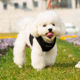Mr. Peanut's PupTrek Harness and Leash Set, Small Dog/Cat Soft Mesh Step In Harness Vest