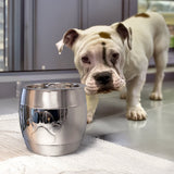 Dog Treat Canister with Airtight Lid Stainless Steel | BREKX