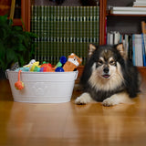 Dog Toy Bin Indestructible - Embossed Paw Print - White Medium | BREKX