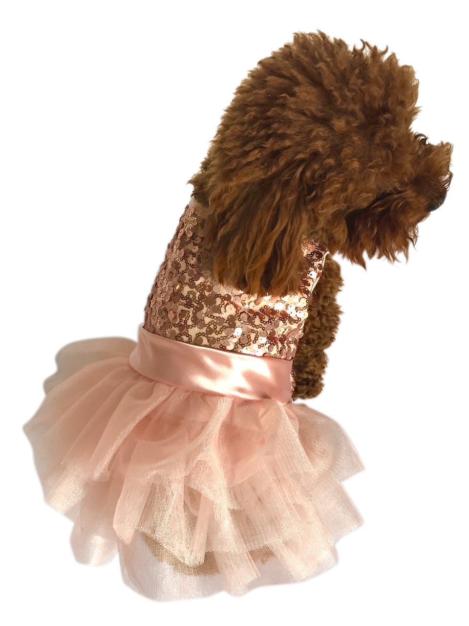 Marilyn Dog Tutu Dress, Rose Gold Sequins