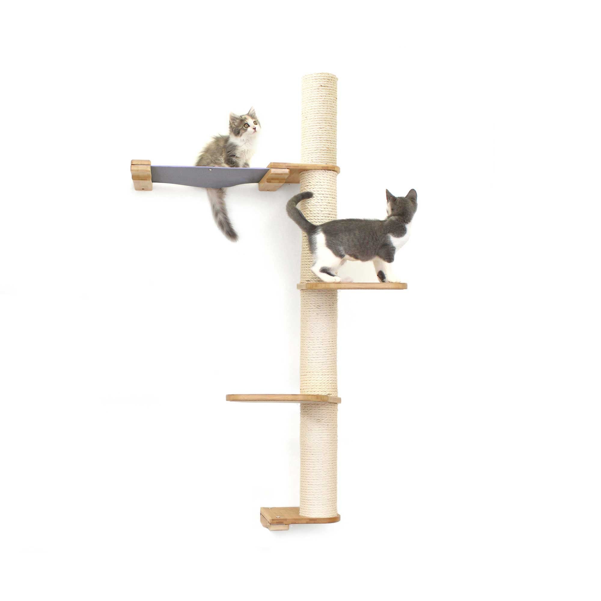 The Crow's Nest - A Wall Cat Scratcher with Hammock by Catastrophic Creations