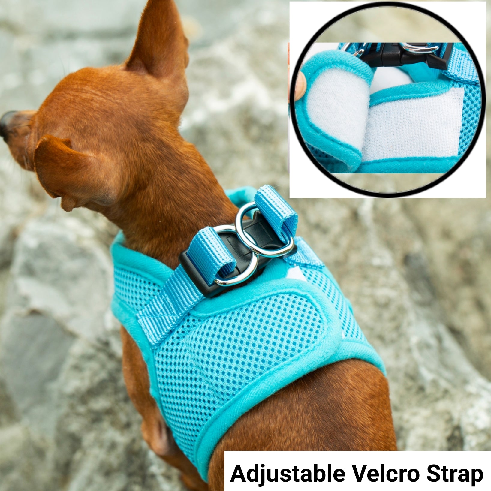 Mr. Peanut's PupTrek Harness and Leash Set, Small Dog/Cat Soft Mesh Step In Harness Vest