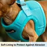 Mr. Peanut's PupTrek Harness and Leash Set, Small Dog/Cat Soft Mesh Step In Harness Vest