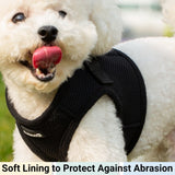 Mr. Peanut's PupTrek Harness and Leash Set, Small Dog/Cat Soft Mesh Step In Harness Vest