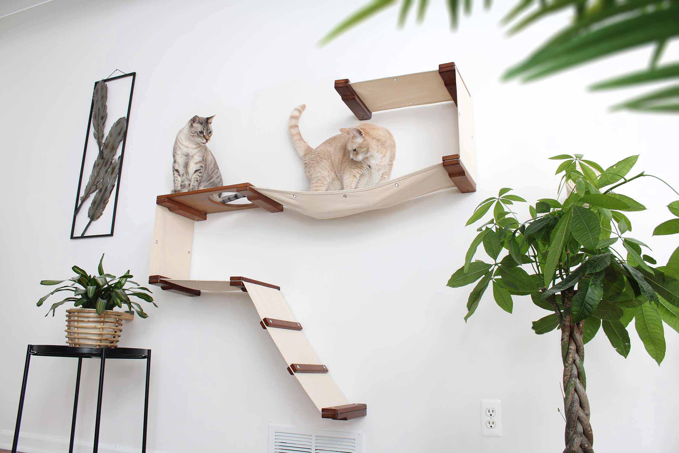 The Play - A Cat Play Wall System by Catastrophic Creations