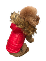 Ski Bunny Puffer with detachable hood, Shiny Red